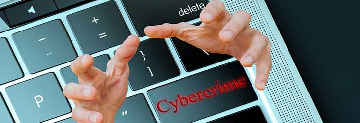 Keyword	Amenazas ciberdelincuencia 2022